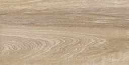 Настенная плитка Alma Ceramica Эйфория 24,9x50 см TWU2550EPH40